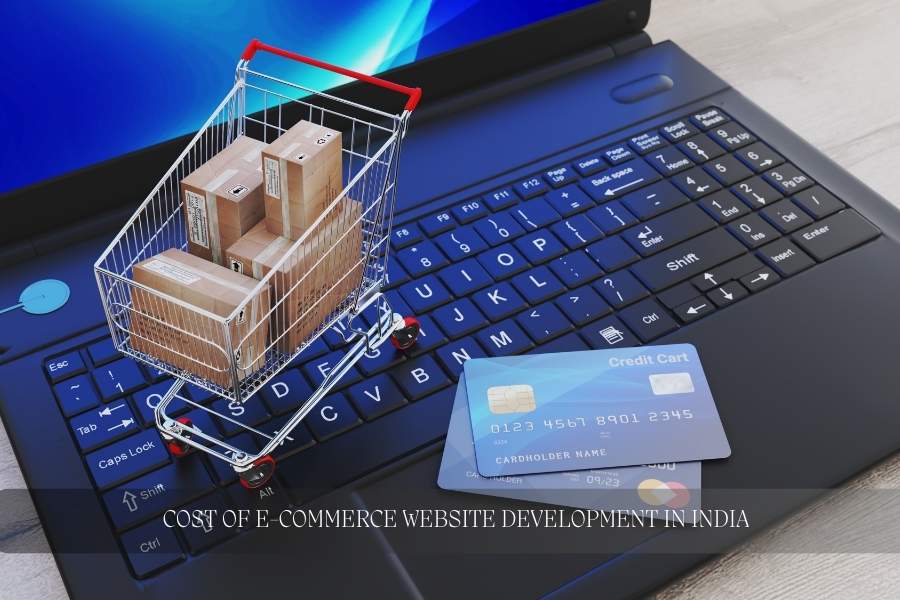 Cost of E-Commerce Website